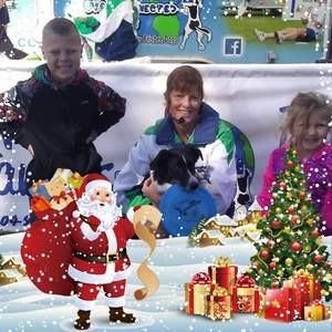 Meet your Posher, Alison